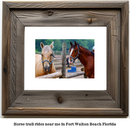 horse trail rides near me in Fort Walton Beach, Florida